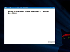 Win10һSDK 14393.33ļй¶d
