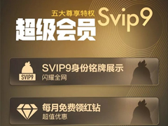 vӍQQ SVIP9(j)(hu)TϾ