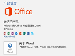 ô鿴Office2016Ƿ񼤻ü鿴