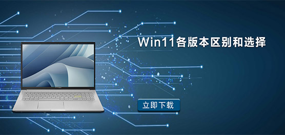 Win11Ўׂ(g)汾Win11汾^(q)e