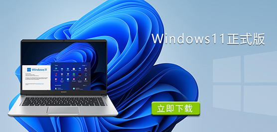 Win11I(y)_Windows11ʽd