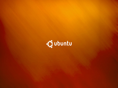 UbuntuP(gun)]@ĲE