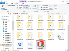 (j)Win10officeòôkNQ