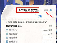 ֧2019~ô鿴鿴֧2019~εķ