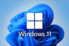 ΢ܛWindows 11 Build 22000.100(־dַ)