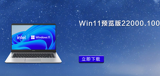 Win11A(y)[22000.100_Win11 22000