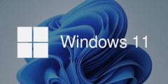 ΢ܛϣWindows 11