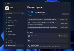 Cumulative Update for Windows11(10.0.22000.132)(KB5005190)ʧôk