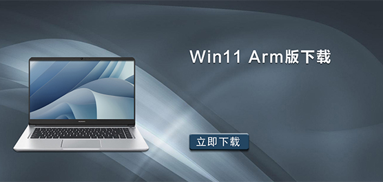 Win11 armd_Win11 arm x64