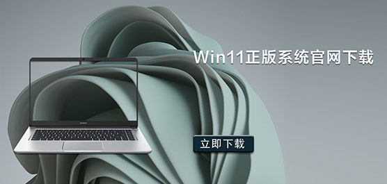 Win11ϵy(tng)پW(wng)d_Win11ʽ