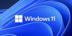 Windows11ʽĿǰ֪Ĳbug