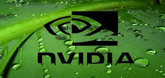 NVIDIA@(q)