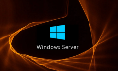 ΢ܛe`ƳµWindows Server