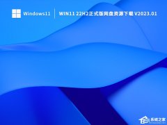 Win11W(wng)Pd_Win11°汾22H2ʽd(⼤)