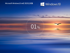 7.10¡Windows10 22H2 19045.4651 X64 ٷʽ