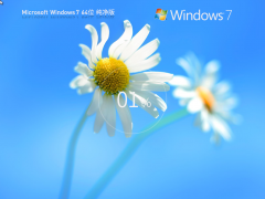 Windows7 64λ ŞISOR